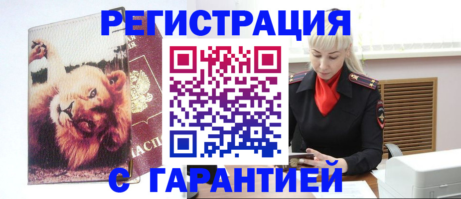 прописка от собственника в Кольчугино